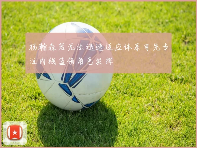 杨瀚森若无法迅速适应体系可先专注内线蓝领角色发挥